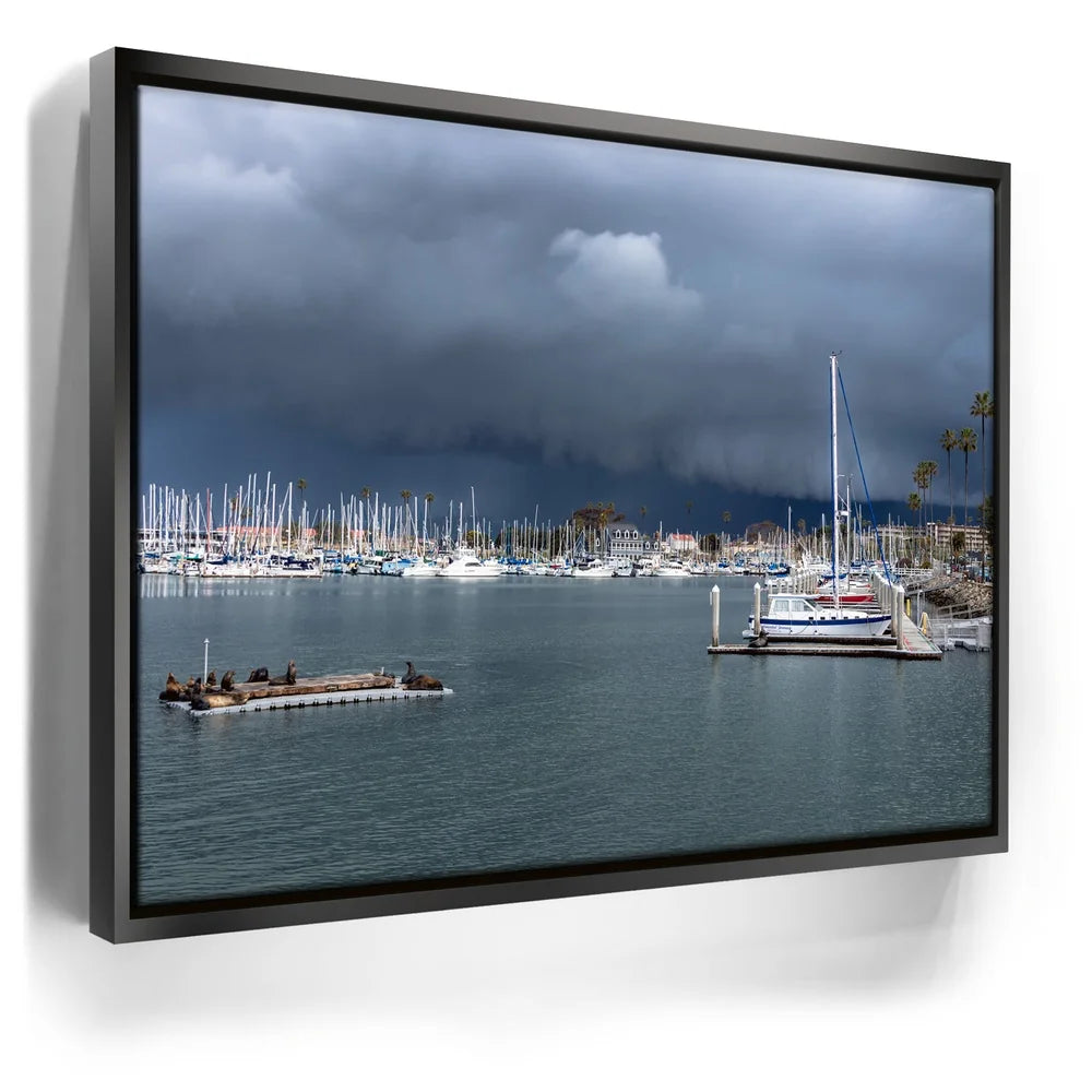 Featured image 5 for Calm Harbor Storm