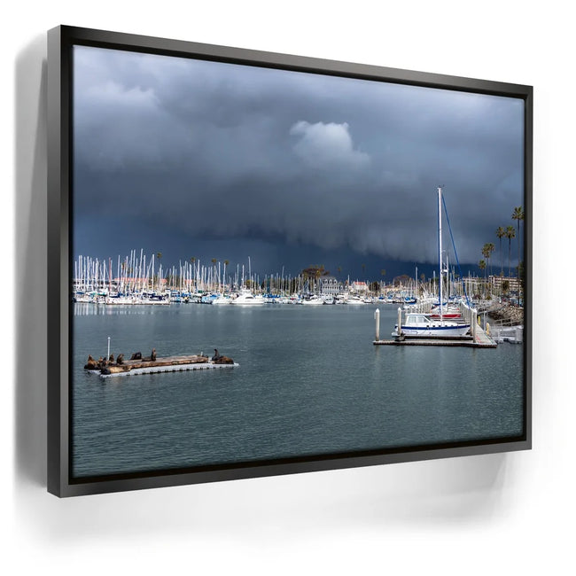 Featured image 5 for Calm Harbor Storm