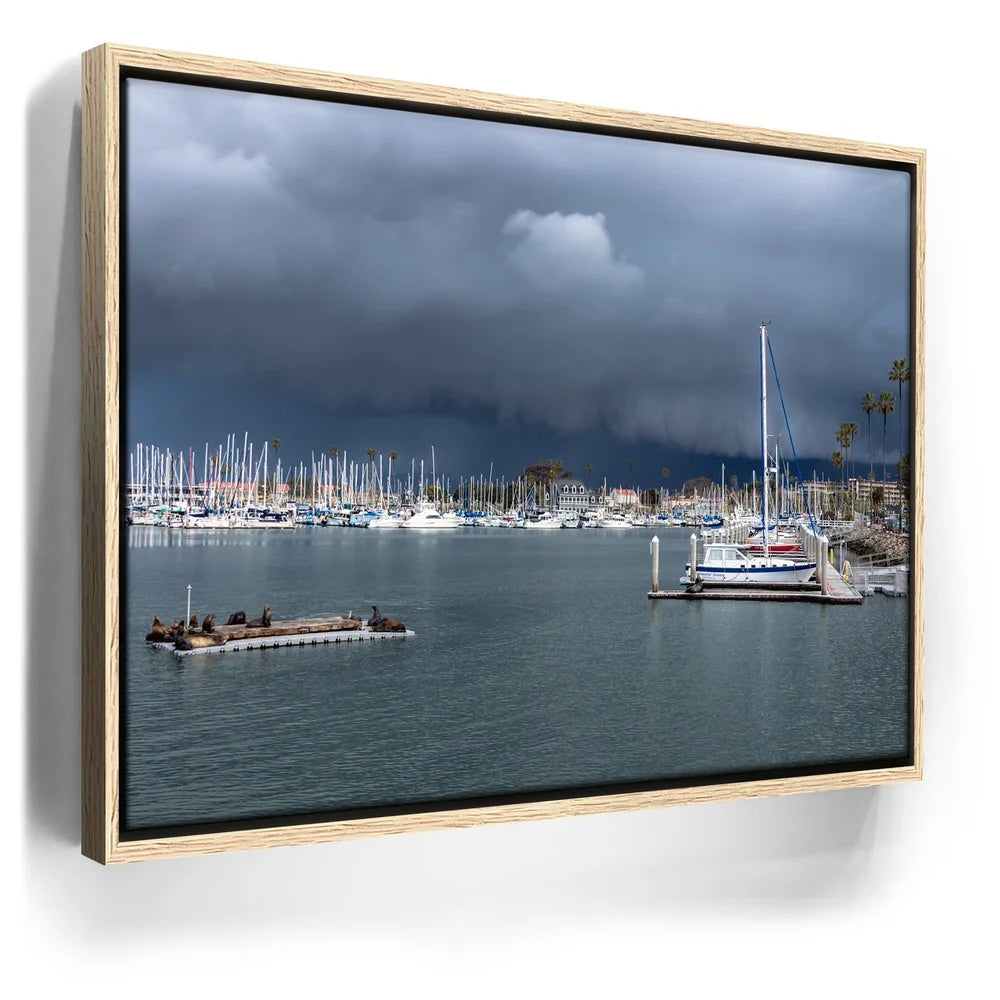 Featured image 9 for Calm Harbor Storm