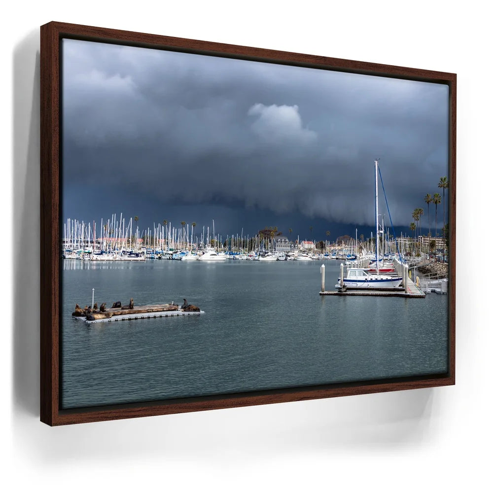 Featured image 10 for Calm Harbor Storm