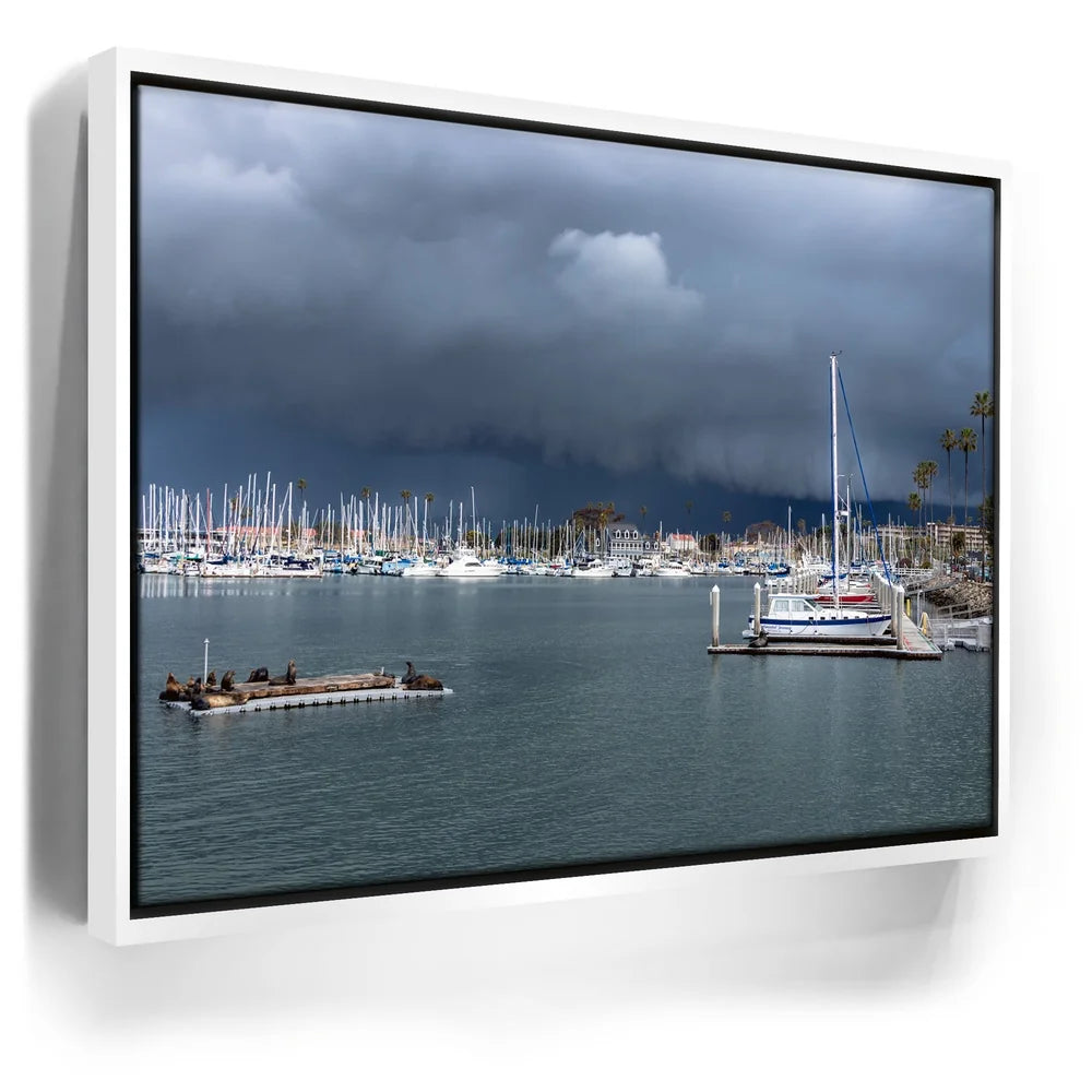 Featured image 6 for Calm Harbor Storm
