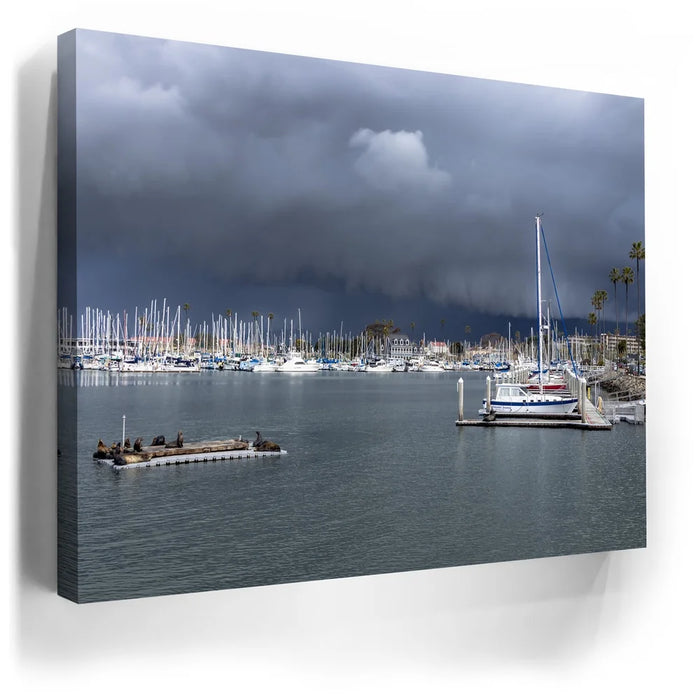 Featured image 5 for Calm Harbor Storm