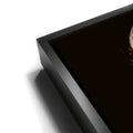 Thumbnail image 11 for CANADA, DRAPED IN DESTINY - FOOTBALL