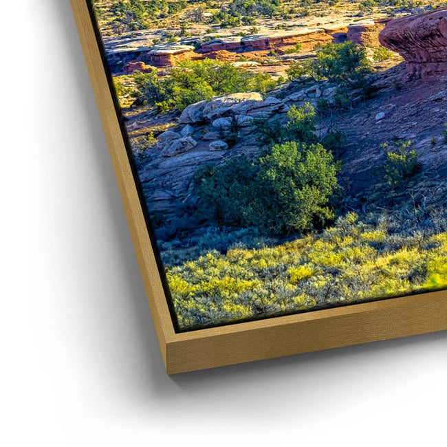Featured image 13 for Canyonlands Vista