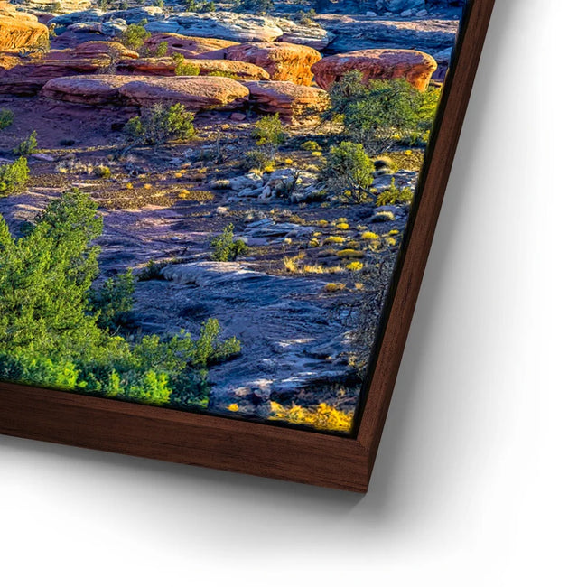 Featured image 15 for Canyonlands Vista