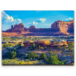 Canyonlands Vista