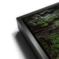 Thumbnail image 11 for Cascading Grace