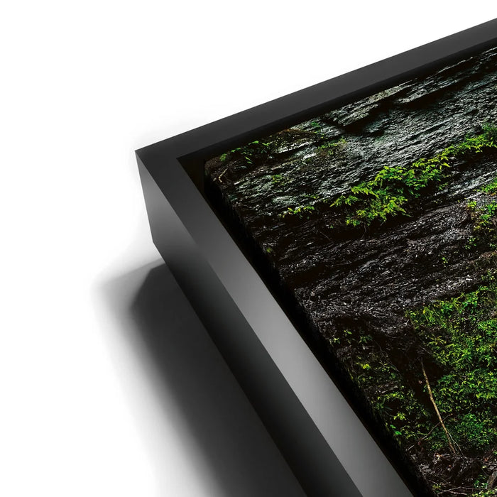 Featured image 11 for Cascading Grace