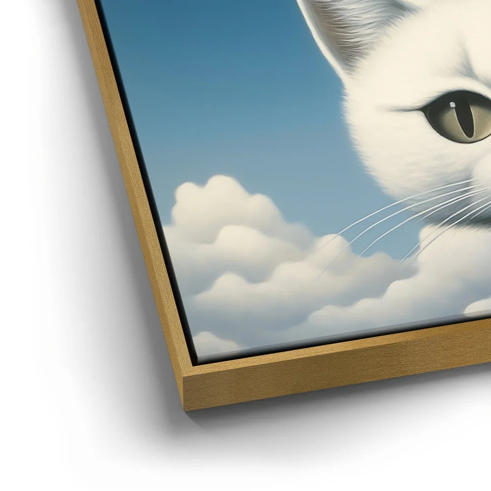 Featured image 12 for Cat Cloud