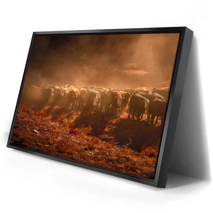 Featured image 2 for Cattle Staredown