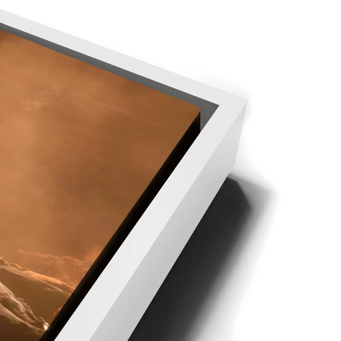 Featured image 13 for Cattle Staredown