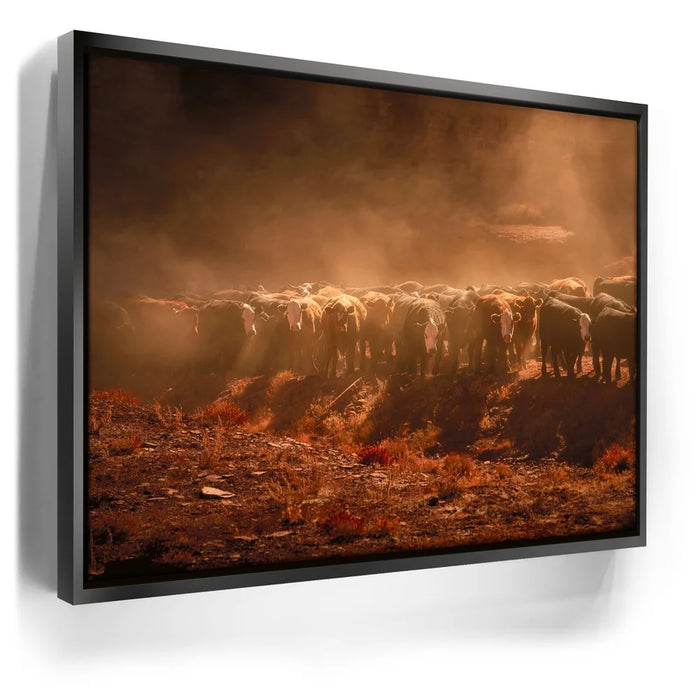 Featured image 5 for Cattle Staredown