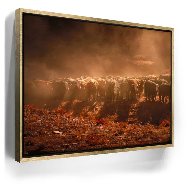 Featured image 7 for Cattle Staredown
