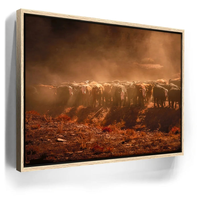 Featured image 9 for Cattle Staredown