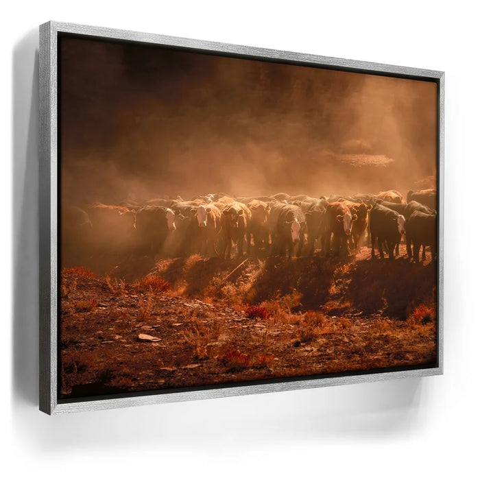 Featured image 8 for Cattle Staredown