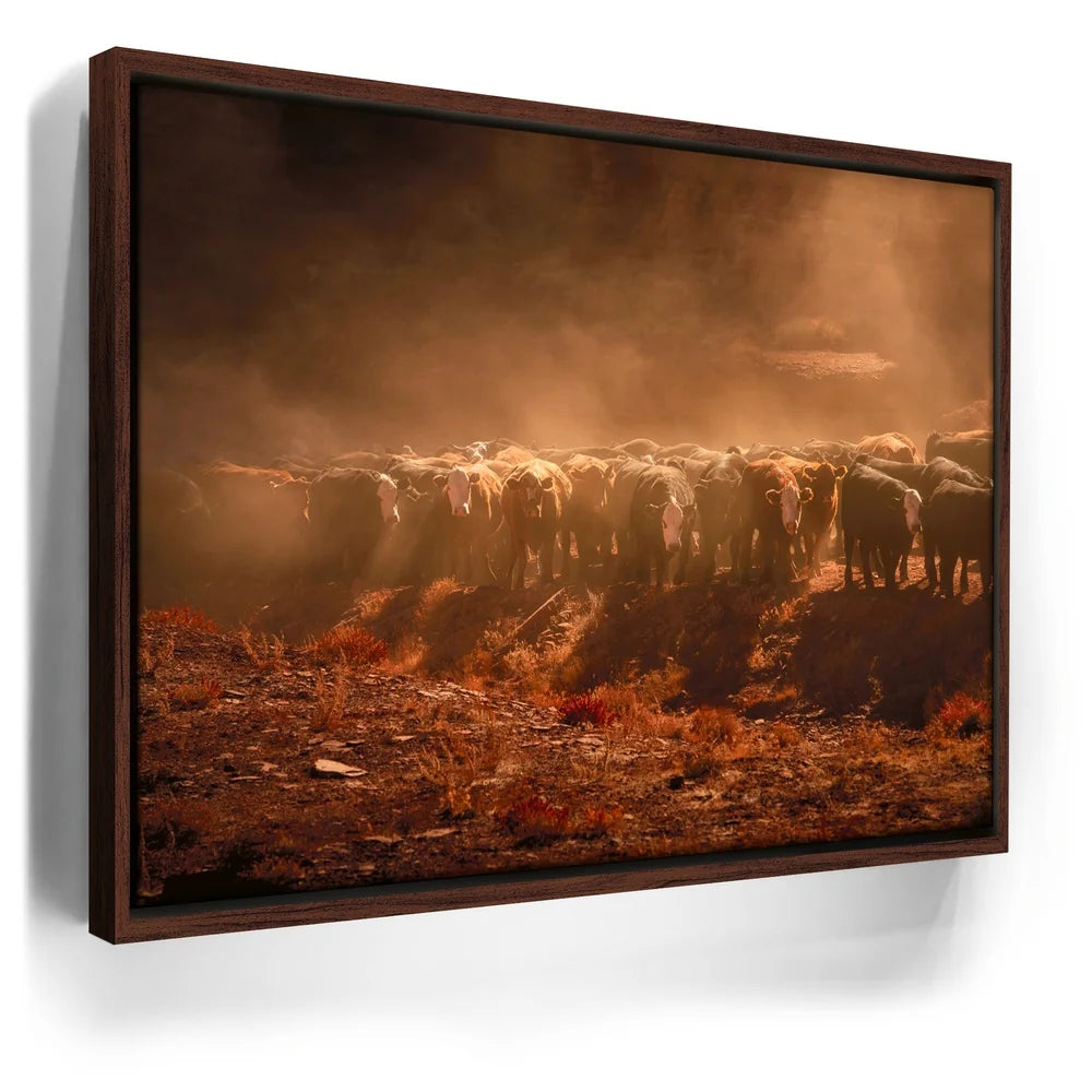 Featured image 10 for Cattle Staredown