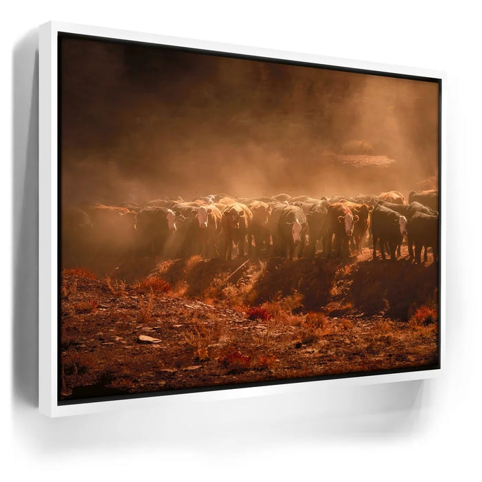 Featured image 6 for Cattle Staredown