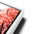 Thumbnail image 13 for Cherry Blossom Dreaming