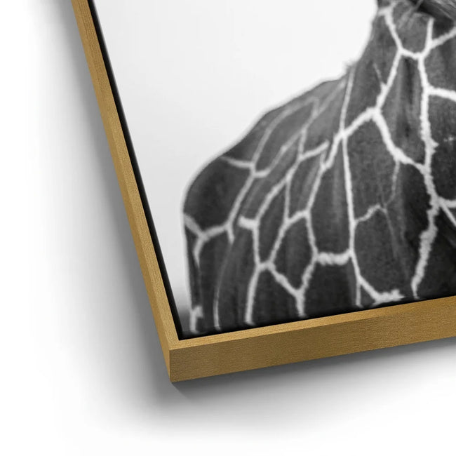 Featured image 12 for Chewy