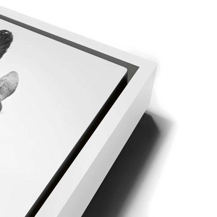 Featured image 13 for Chewy