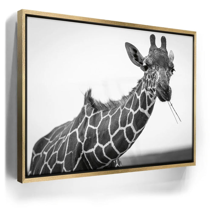 Featured image 7 for Chewy