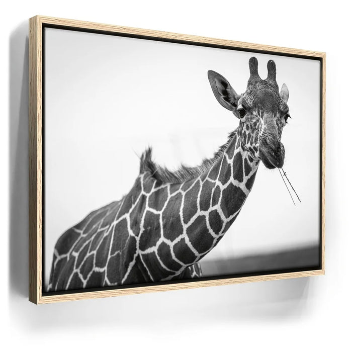 Featured image 9 for Chewy