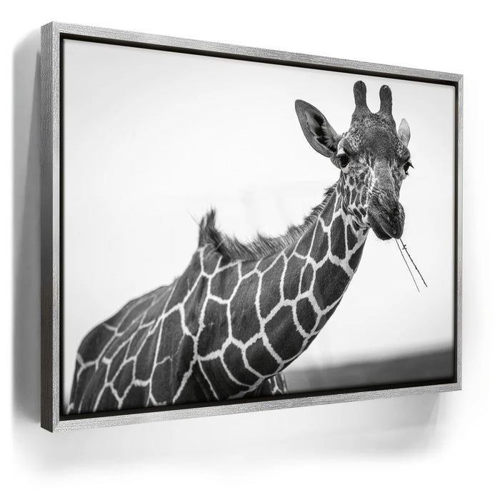 Featured image 8 for Chewy