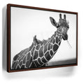 Featured image 10 for Chewy