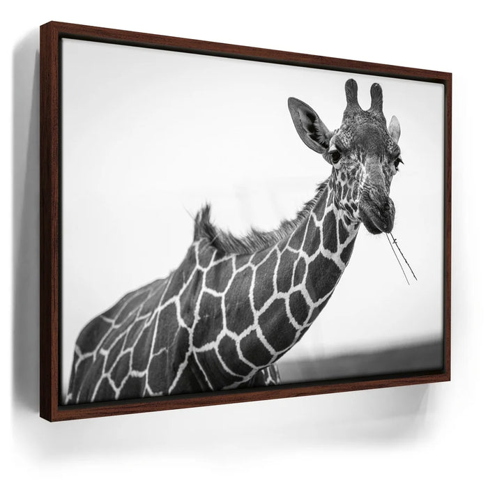 Featured image 10 for Chewy