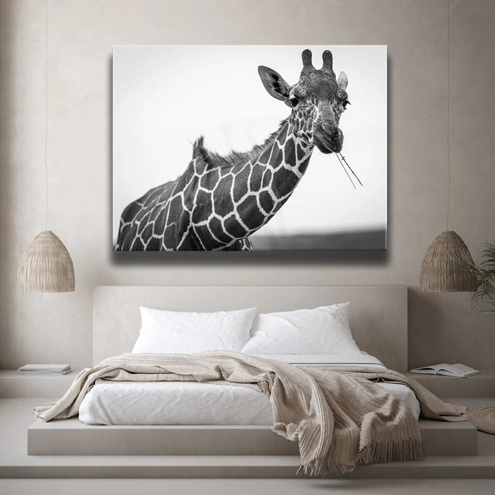 Featured image 2 for Chewy