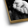 Thumbnail image 13 for Choice - Black and White