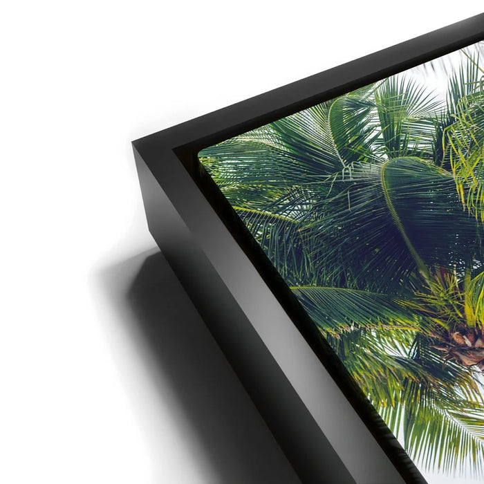 Featured image 11 for Coastal Calm