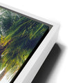 Thumbnail image 13 for Coastal Calm
