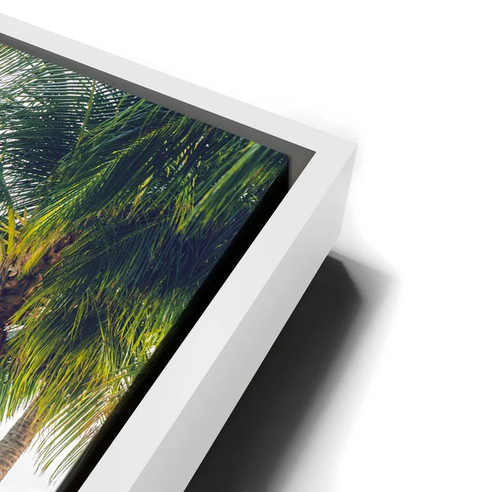 Featured image 13 for Coastal Calm