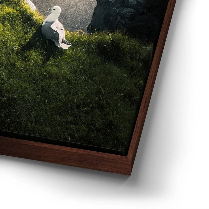 Featured image 15 for Coastal Nature - Iceland