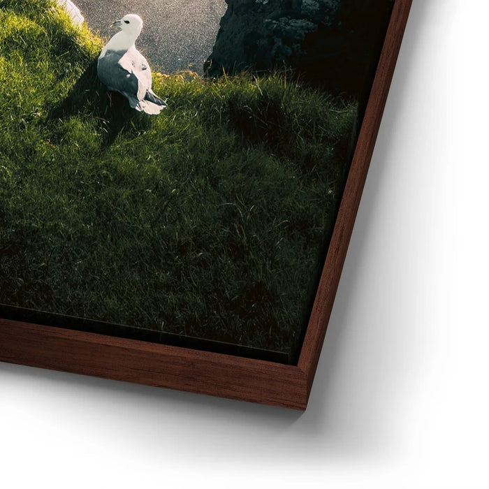 Featured image 14 for Coastal Nature - Iceland