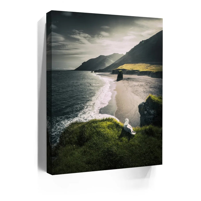 Featured image 5 for Coastal Nature - Iceland