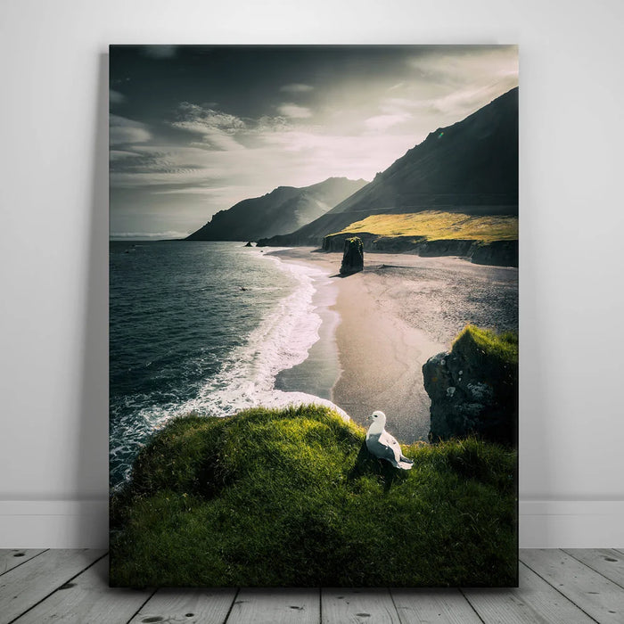 Featured image 1 for Coastal Nature - Iceland