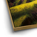 Thumbnail image 12 for Colorful Icelandic Wilderness