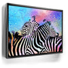 Featured image 6 for Colorful Zebras