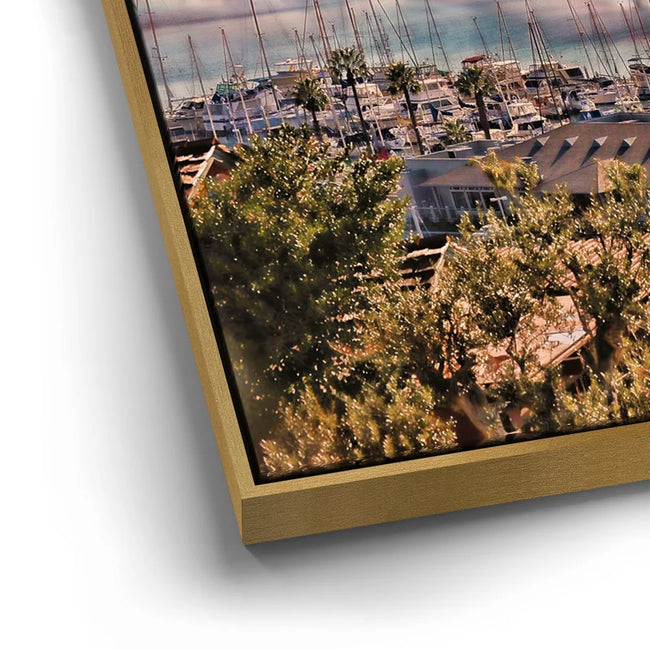 Featured image 13 for Colors of San Diego