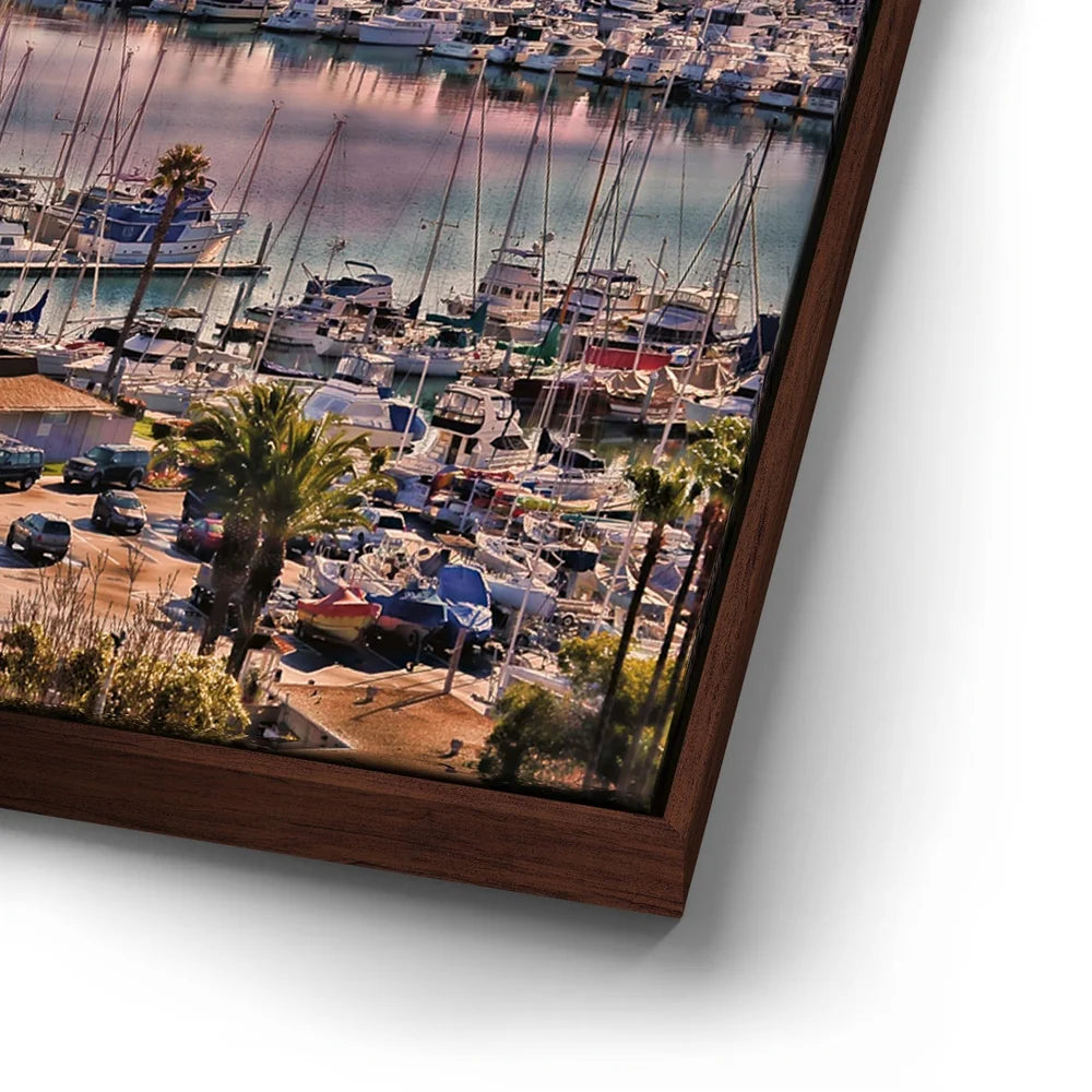 Featured image 15 for Colors of San Diego