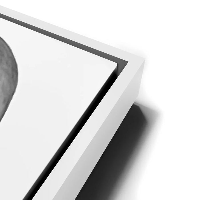 Featured image 14 for Contrast of Heritage