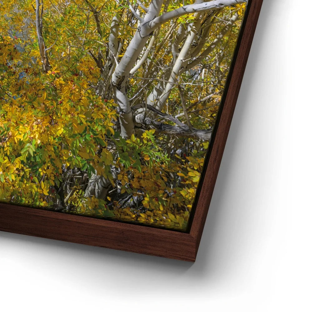 Featured image 14 for Convict Lake Autumn Shoreline