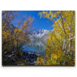 Convict Lake Autumn Shoreline