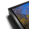 Thumbnail image 11 for Convict Lake Autumn Shoreline
