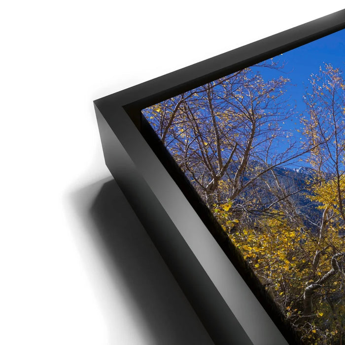 Featured image 11 for Convict Lake Autumn Shoreline