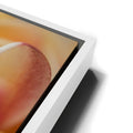 Thumbnail image 13 for Core Plumeria, Maui