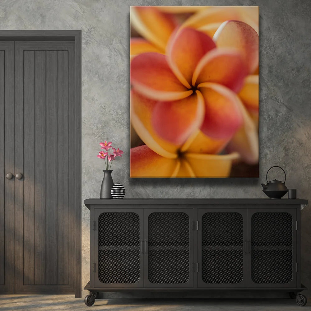 Featured image 2 for Core Plumeria, Maui