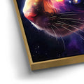 Thumbnail image 12 for Cosmo Cat